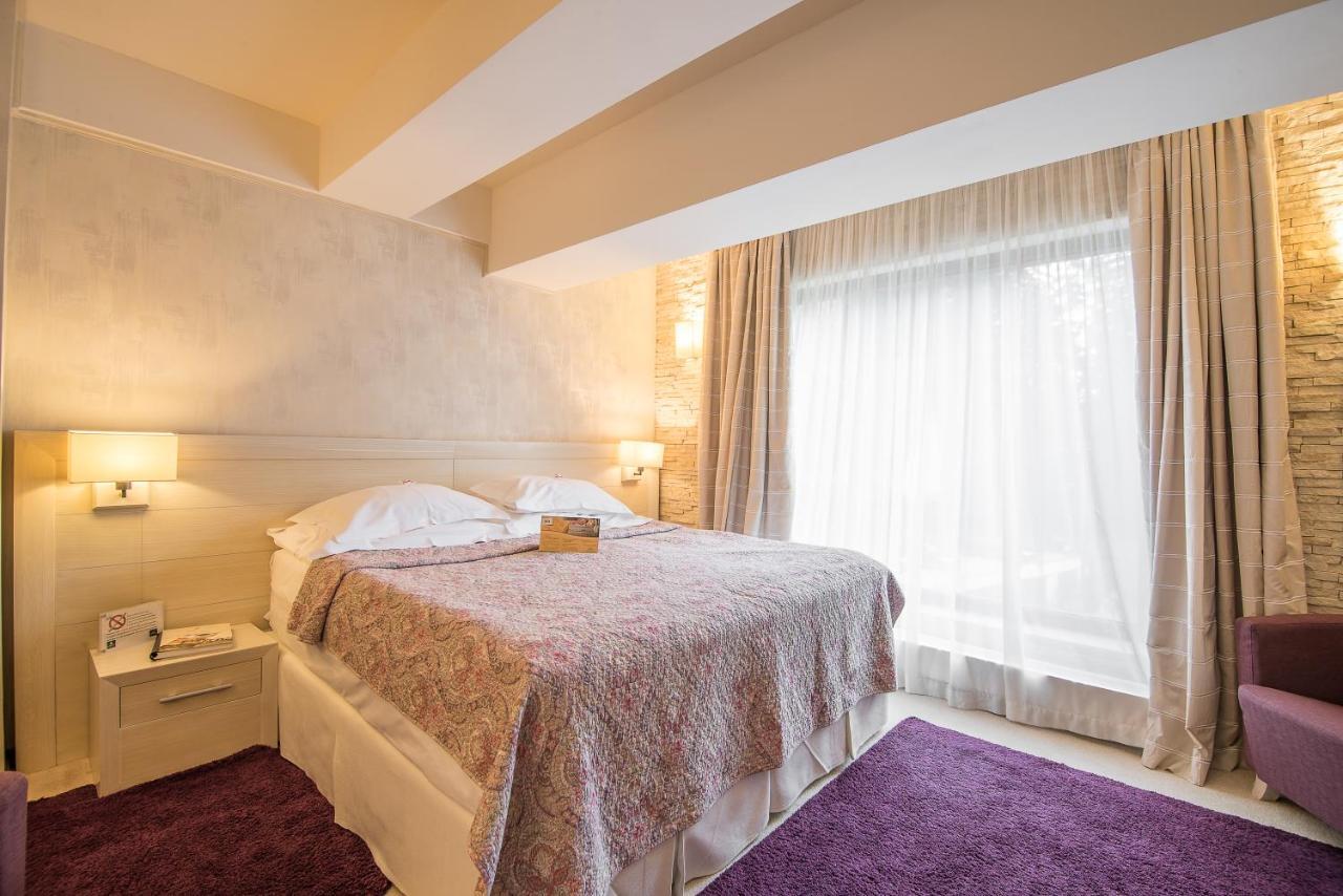 Ioana Boutique Hotel Σινάια Εξωτερικό φωτογραφία