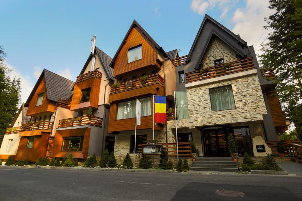 Ioana Boutique Hotel Σινάια Εξωτερικό φωτογραφία